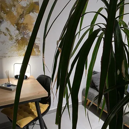 Contact Aparthotel Tirana