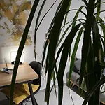 Aparthotel Contact