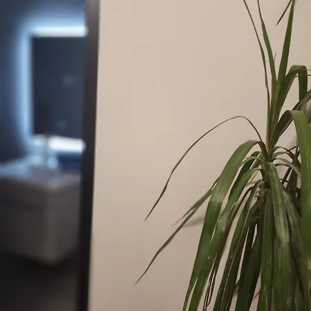 Contact Hotel apartamentowy Tirana