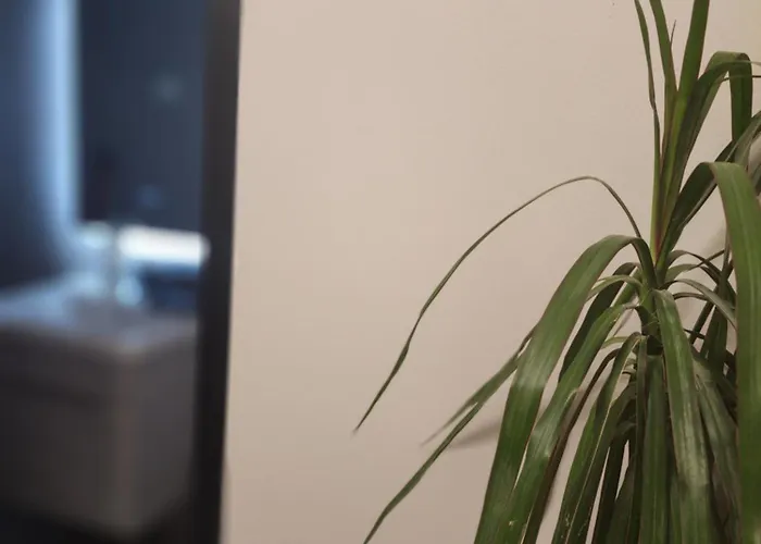 Contact Апарт-отель Тирана